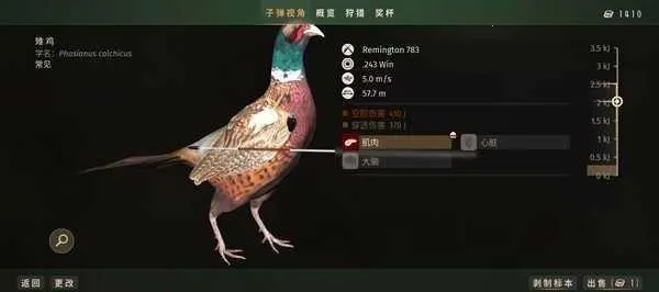 狩猎之道