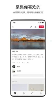 花瓣 花瓣