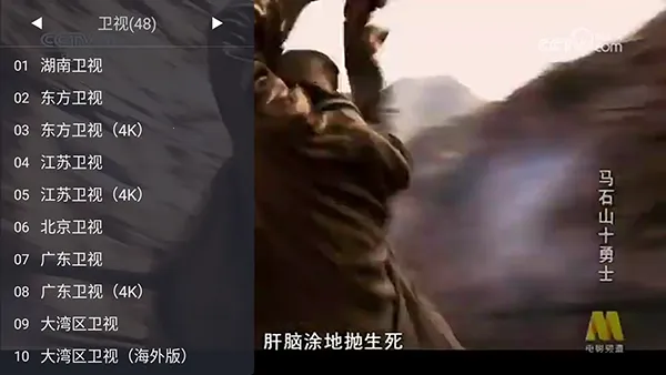 WebViewTV2026�ٷ����°汾