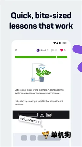 SoloLearn2026�ٷ�����