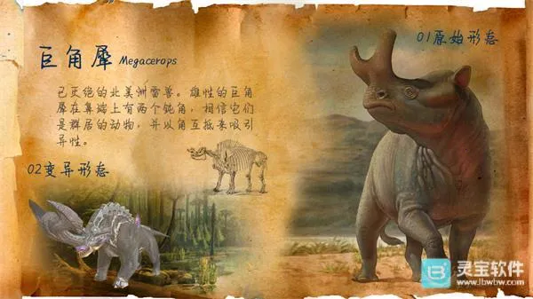 ����ս��e��