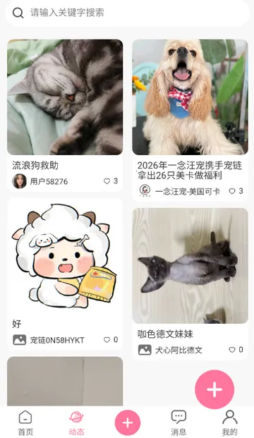 宠链app 宠链app