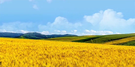 ũҵũ�岿����ͨ(ũҵ����ƽ̨)