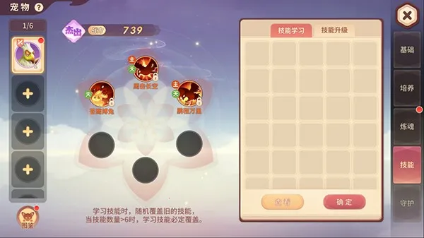 �ټ�����2026�ٷ����°汾