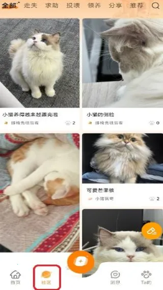 莫莫宠医