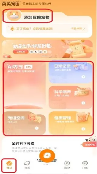 莫莫宠医