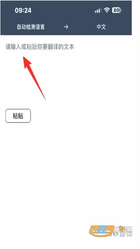 DeepL(���Ϸ��빤��)