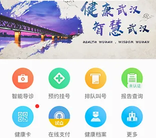 �����人(ҽ�Ʊ������)