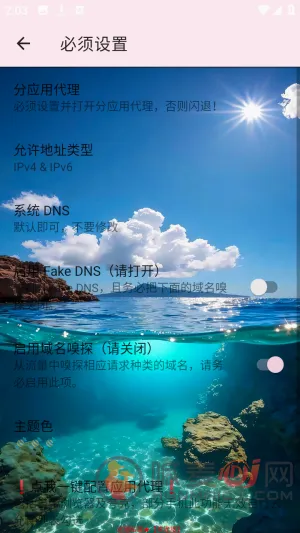 Ѳ��˽��2026���°汾