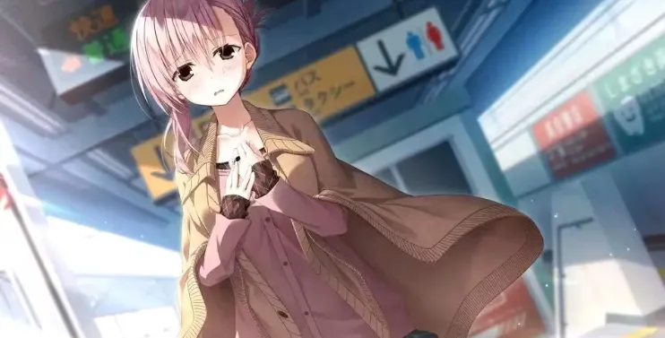ӣ֮��2026���ذ�װ