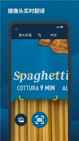 deepl���빤��(רҵ��������)